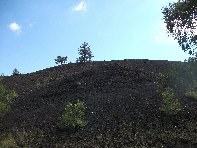 nti Sartorius-20100606 022